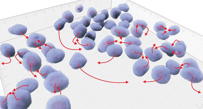 Cell tracking