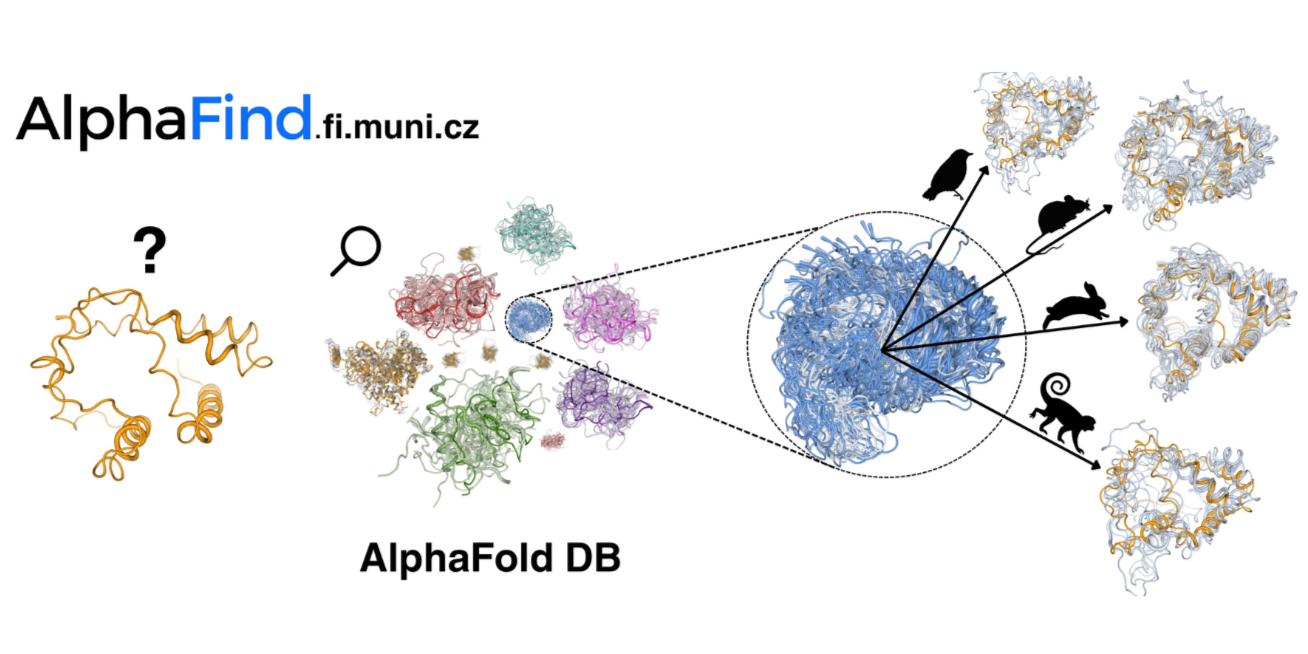 AlphaFind: a new compass in the world of proteins
