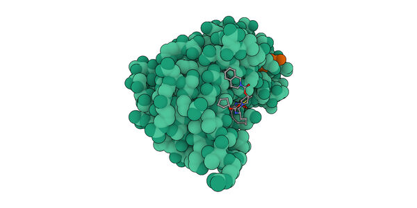 Bioinformatics